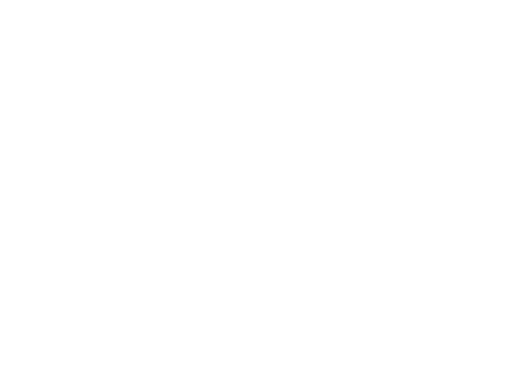 Chocolate Orange Consulting