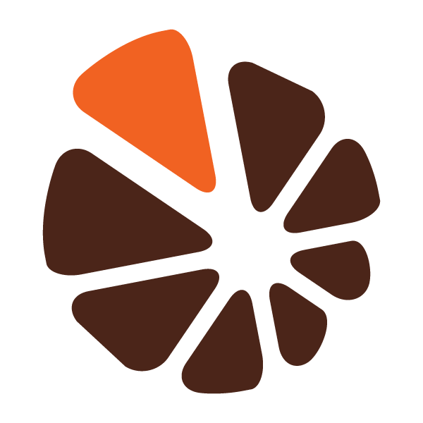 Chocolate Orange Favicon