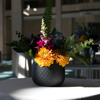 Chocolate Orange Events